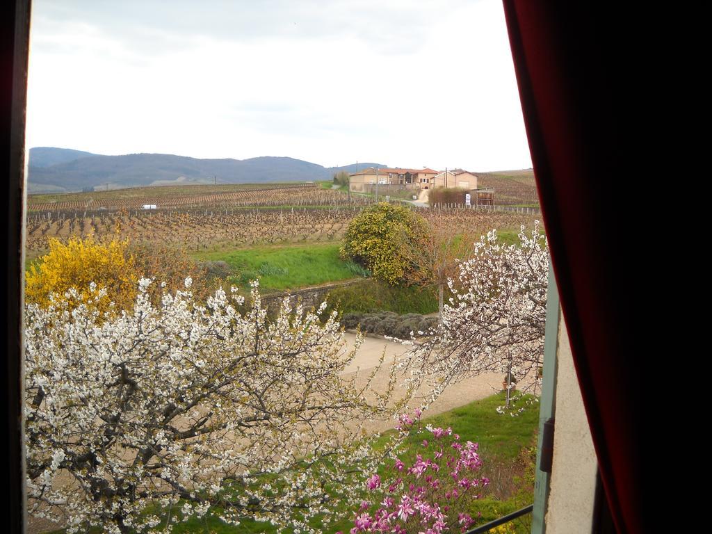 Hotel Des Vignes Juliénas Eksteriør billede